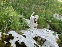 Slowenien 2021  - 63